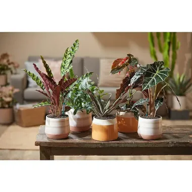 Preview: Westland POR Universal-Granulat Mix, Körnung 4-8 mm, 6l, 738167