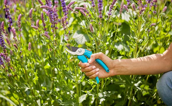 Gardena Gartenschere 8754-30