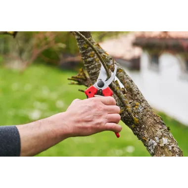 FELCO 171L Gartenschere Bypass für rechte Hände, Präziser Schnitt bis 25 mm, F171L