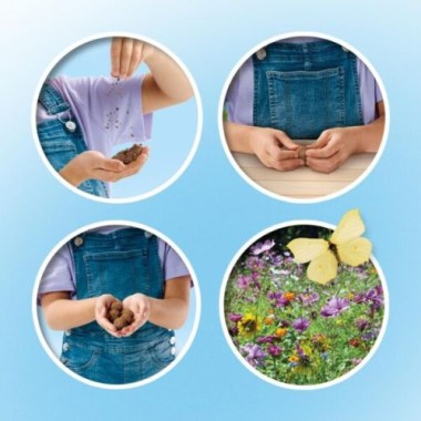SES Creative Schmetterlingsblumen-Bomben, 25207