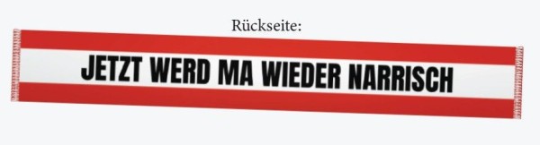 Preview: WM Fanartikel Seidenschal Österreich, 130x90cm, 80021