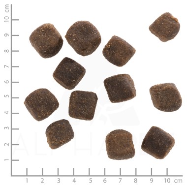 Wolfsblut Squashies, Dark Forest, Wild und Süßkartoffeln, 100 g, WB785285