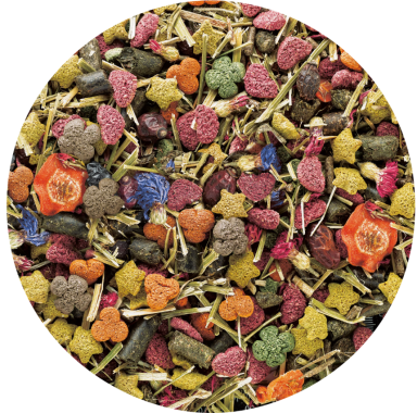 Preview: Vitakraft Emotion Beauty All Ages, Chinchilla Hauptfutter, 600g, 31462