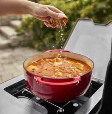 Weber Summit FS38 S Gasgrill 1500056