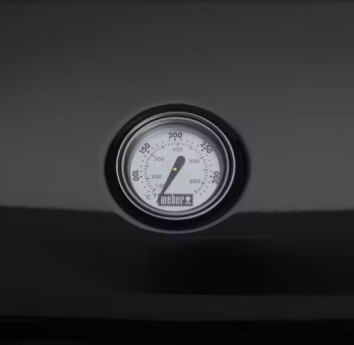 Weber Lumin Compact Elektrogrill mit Stand, black, 91010879