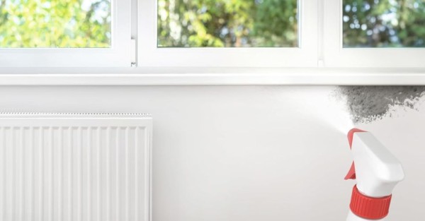 Preview: Alpina Bad & Küche Schimmel-Entferner (chlorfrei) 0,5 Liter, 2012633