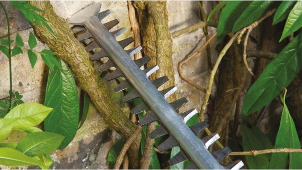 Bosch Akku Heckenschere EasyHedgeCut 18-45, 1 Akku + Ladegerät, 0600849H02