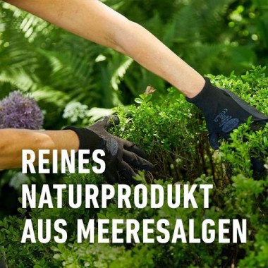 Compo Algenkalk für Buchsbäume, Pulver, zur Unterdrückung des Buchsbaumzünslers, 1 kg, 22079