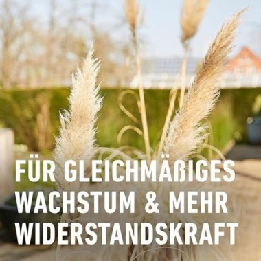 COMPO Bambus & Ziergräser Langzeit-Dünger, 5 Monate Langzeitwirkung, 850 g, 22 m², 26048