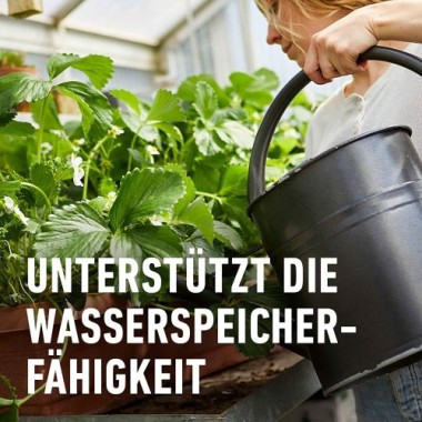 COMPO BIO Beeren Langzeit-Dünger für alle Beerenpflanzen, Kernobst und Steinobst, 5 Monate Langzeitwirkung, 2 kg, 20299