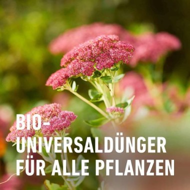 COMPO BIO Blumendünger, Dünger für alle Zimmerpflanzen und Terrassenpflanzen, 1,3 Liter, 20822