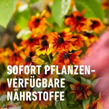 COMPO BIO Blumendünger, Dünger für alle Zimmerpflanzen und Terrassenpflanzen, 1,3 Liter, 20822