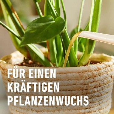 COMPO BIO Grünpflanzendünger und Palmendünger, 100% natürliche Inhaltsstoffe, 500 ml, 26829