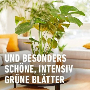 COMPO BIO Grünpflanzendünger und Palmendünger, 100% natürliche Inhaltsstoffe, 500 ml, 26829