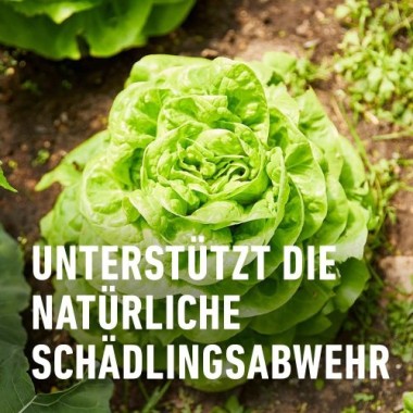 COMPO Bio Grundstoff Brennnessel 1 l Konzentrat, 28567