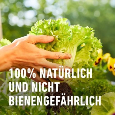 COMPO Bio Grundstoff Brennnessel 1 l Konzentrat, 28567