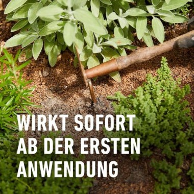 COMPO BIO Kräuterdünger für alle Gewürzpflanzen und Kräuter, 500 ml, 22246