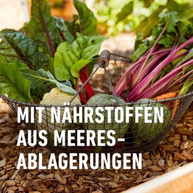 COMPO BIO Naturdünger mit Guano, für alle Gartenpflanzen, 3 kg, 12451