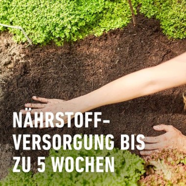 COMPO BIO Tomaten- und Gemüseerde, Für alle Gemüsekulturen, Torffrei, 20 Liter, 28228