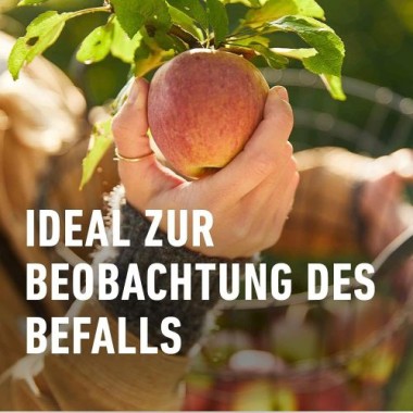 COMPO BIO Universal-Trichterfalle für Buchsbaumzünsler, Apfel- und Pflaumenwickler, ohne Lockstoff, 22591