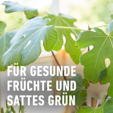 COMPO BIO Zitruspflanzendünger für alle Zitruspflanzen-Arten, 500 ml, 22245