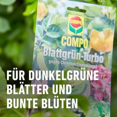 COMPO Blattgrün-Turbo 20g, 16104