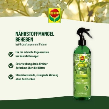 COMPO Blattpflege für Grünpflanzen, Blatt-Dünger für alle Grünpflanzen und Palmen, 500 ml 22263