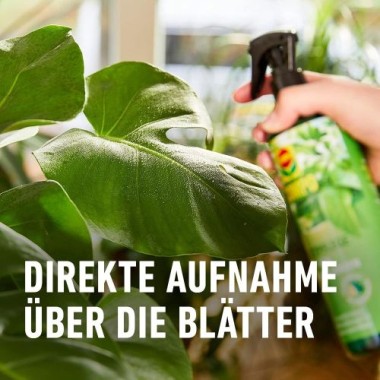 COMPO Blattpflege für Grünpflanzen, Blatt-Dünger für alle Grünpflanzen und Palmen, 500 ml 22263