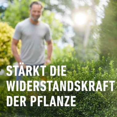 COMPO Buchsbaum- und Ilexdünger, Dünger für alle Buchsbäume, Spezial-Flüssigdünger mit extra Eisen, 1 Liter, 22558