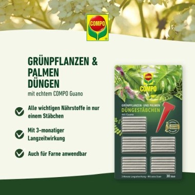 COMPO Grünpflanzen- und Palmen Düngestäbchen mit Guano, mit 3 Monaten Langzeitwirkung, 30 Stück, 12064