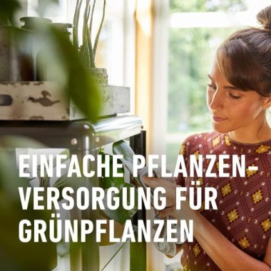 COMPO Grünpflanzen- und Palmen Düngestäbchen mit Guano, mit 3 Monaten Langzeitwirkung, 30 Stück, 12064