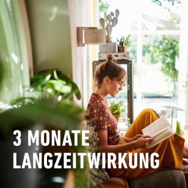 COMPO Grünpflanzen- und Palmen Düngestäbchen mit Guano, mit 3 Monaten Langzeitwirkung, 30 Stück, 12064