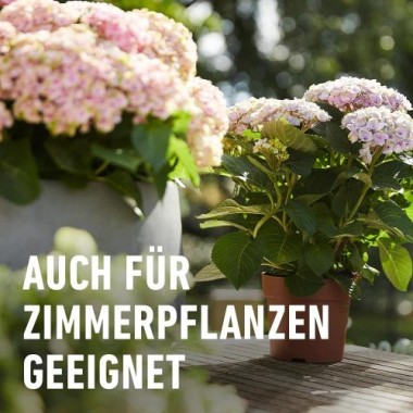 COMPO Qualitäts-Blumendünger mit extra Magnesium, 1 Liter, 14361