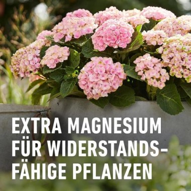 COMPO Qualitäts-Blumendünger mit extra Magnesium, 1 Liter, 14361