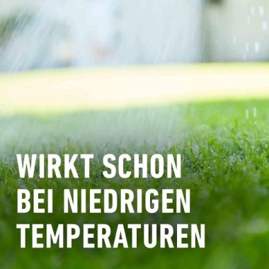 COMPO Rasen Langzeit-Dünger, mit 4 Monaten Langzeitwirkung, 12 kg, 480 m², 23698