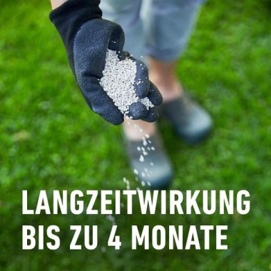 COMPO Rasen Langzeit-Dünger, mit 4 Monaten Langzeitwirkung, 12 kg, 480 m², 23698