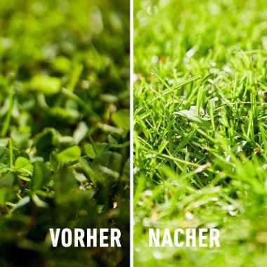 COMPO Rasendünger plus Unkrautvernichter, 3 Monate Langzeitwirkung, 3 kg, 100 m², 13310