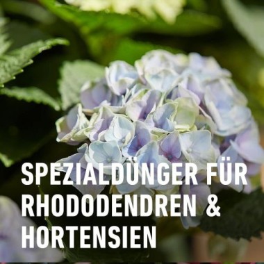 COMPO Rhodo- und Hortensien Vital, Spezial-Dünger, 1 kg, 21795