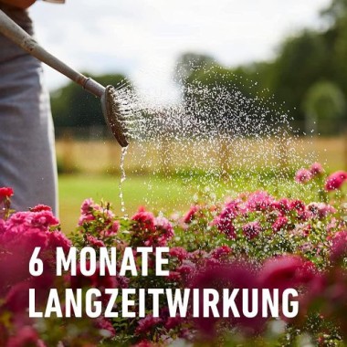 COMPO Rosen Langzeit-Dünger, 6 Monate Langzeitwirkung, 2 kg, 25 m², 23859