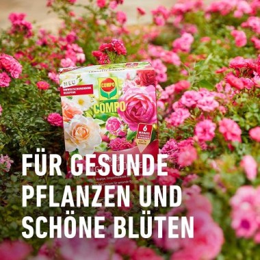 COMPO Rosen Langzeit-Dünger, 6 Monate Langzeitwirkung, 2 kg, 25 m², 23859