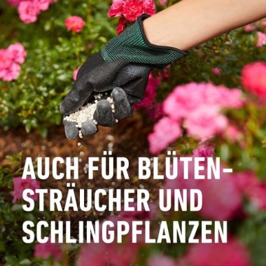 COMPO Rosen Langzeit-Dünger für alle Arten von Rosen, 6 Monate Langzeitwirkung, 850 g, 11 m², 23858