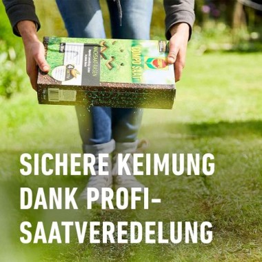 COMPO SAAT Nachsaat-Rasen, 1 kg, für 50 m², 13883