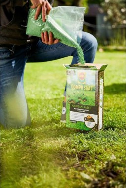 COMPO SAAT Nachsaat-Rasen, 1 kg, für 50 m², 13883