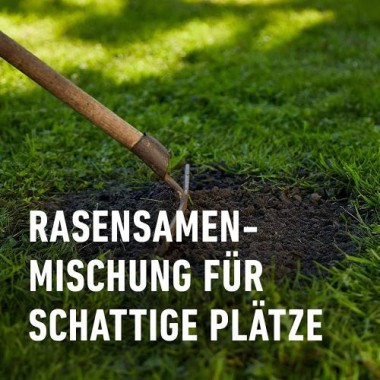 COMPO SAAT Schatten-Rasen, 1 kg, für 50 m², 13896
