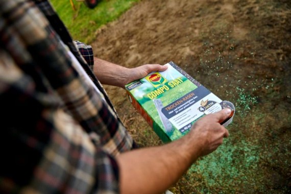 COMPO SAAT Trocken-Rasen, 1 kg, für 40 m², 23364