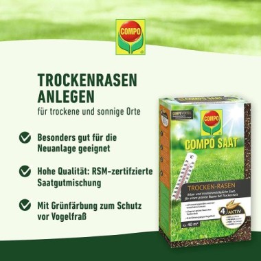 COMPO SAAT Trocken-Rasen, 2 kg, für 80 m², 23949