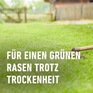 COMPO SAAT Trocken-Rasen, 2 kg, für 80 m², 23949