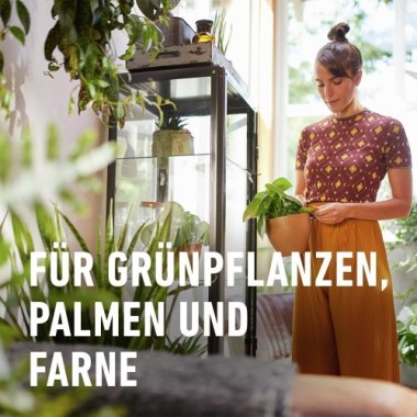 COMPO SANA Blumenerde für Grünpflanzen und Palmen, 12 Wochen Nährstoffversorgung, 10 Liter, 11431