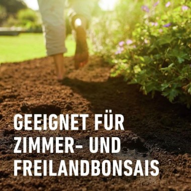 COMPO SANA Bonsaierde 5 L, mit 8 Wochen Nährstoffe, Für alle Zimmer- und Freiland-Bonsai, 5 Liter, 11602