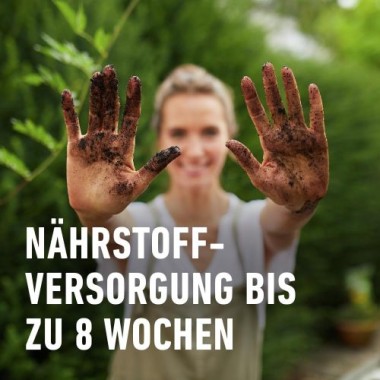 COMPO SANA Bonsaierde 5 L, mit 8 Wochen Nährstoffe, Für alle Zimmer- und Freiland-Bonsai, 5 Liter, 11602